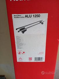 Barre porta tutto per auto in alluminio.