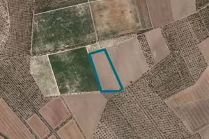 Immobile in asta di 25280 m² a Cerignola