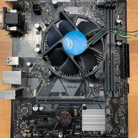 Scheda Madre ASUS PRIME H310M-k R2.0 + Processore