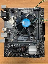 Scheda Madre ASUS PRIME H310M-k R2.0 + Processore