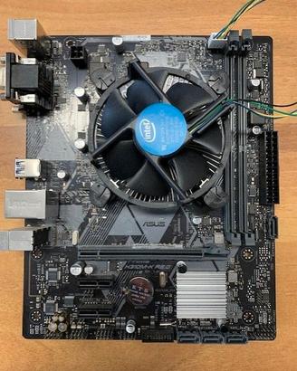 Scheda Madre ASUS PRIME H310M-k R2.0 + Processore