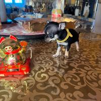 Cuccioli di Ciwawa toy