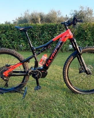 e- MTB 