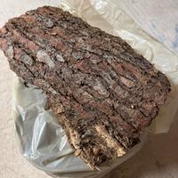 Corteccia di pino grezzo