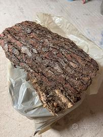 Corteccia di pino grezzo