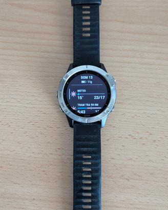 Fenix 6