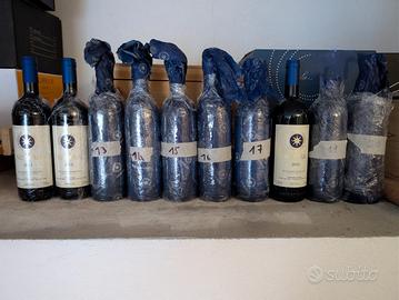 Verticale 2011-2020 Sassicaia