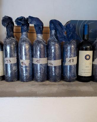 Verticale 2011-2020 Sassicaia