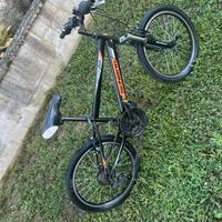Bici F.lli Schiano Vector 20