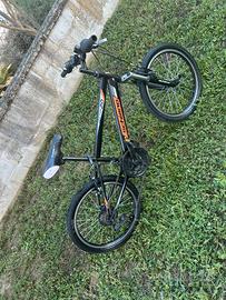 Bici F.lli Schiano Vector 20