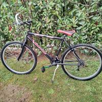mountain bike