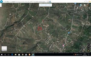 Terreno di circa 5000 mq