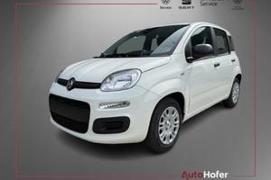 FIAT Pandina 1.0 Hybrid ICON Radio Clima 5P **AKTI