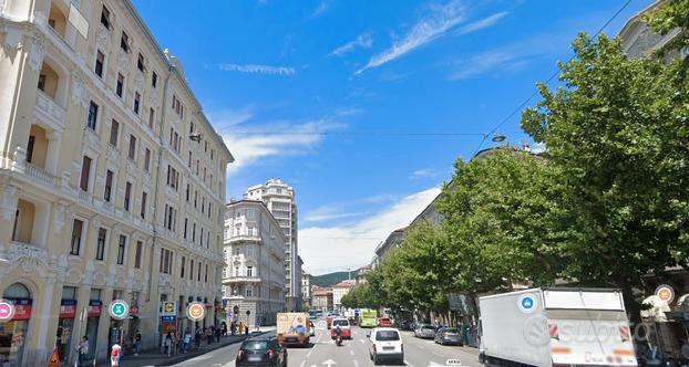 Ampio trilocale in Via Carducci, Trieste