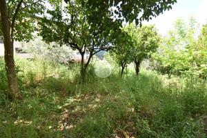 TER. RESIDENZIALE A TORCHIARA