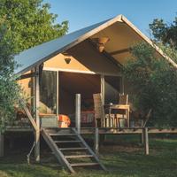 2 tende Glamping usate modello Safari