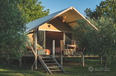 2 tende Glamping usate modello Safari