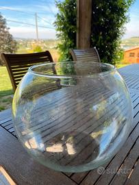 Boccia per pesce rosso