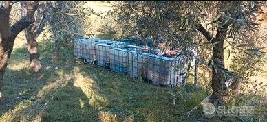 SERBATOI IBC 1000lt