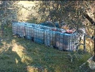 SERBATOI IBC 1000lt