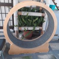 Ruota gatto