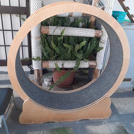 Ruota gatto