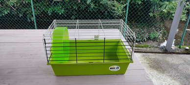 Gabbietta per porcellini d'india