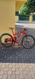 MTB FOCUS 29 TAGLIA L