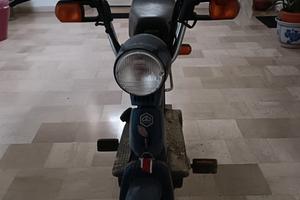 Grillo Piaggio