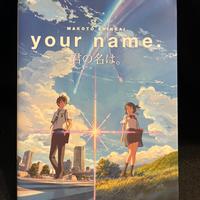 Your name Light Novel