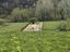 Immagine 24