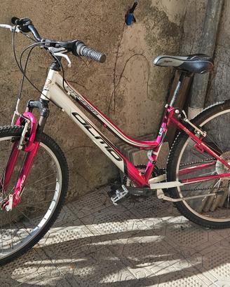 bicicletta