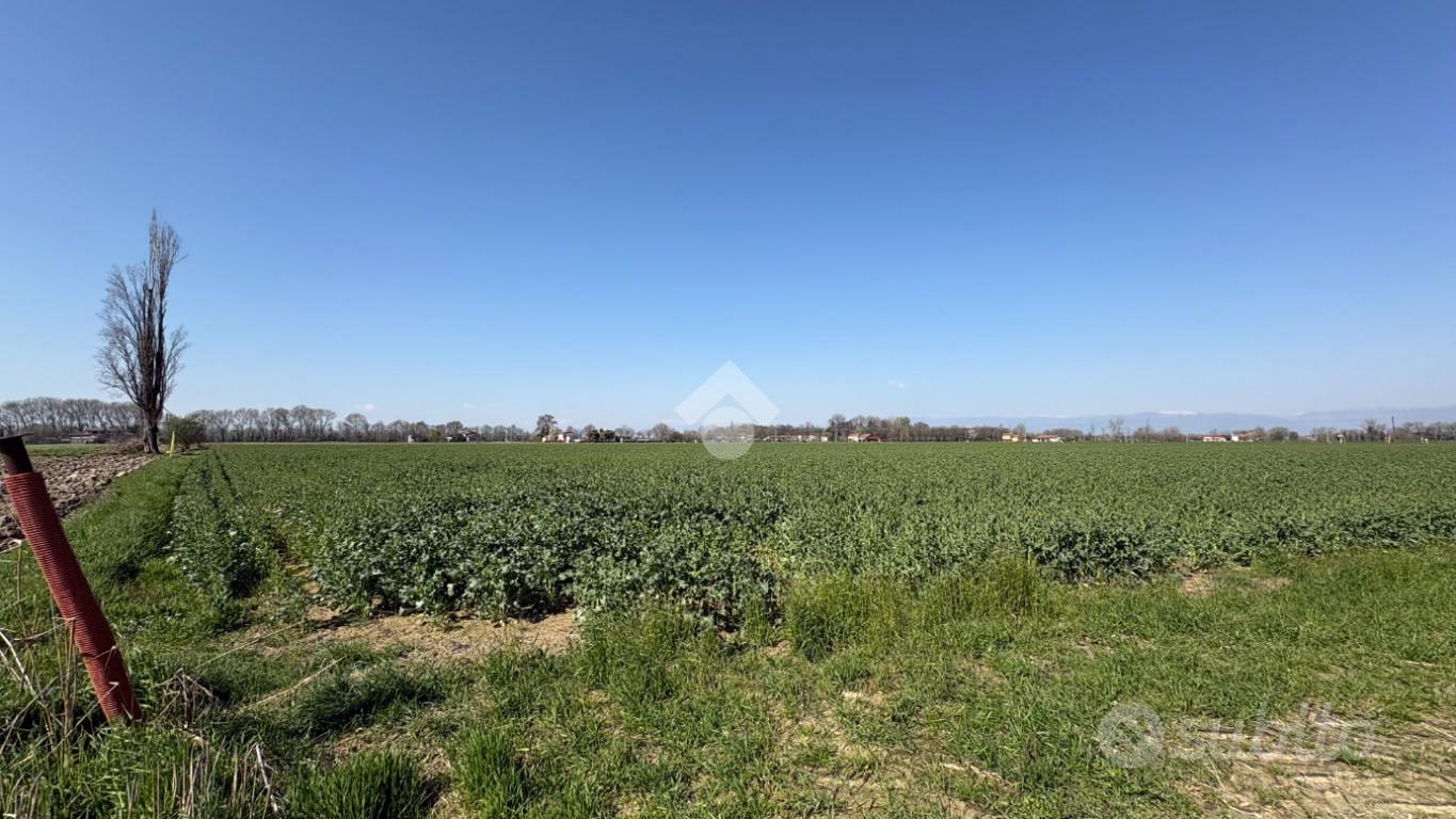 TER. AGRICOLO A SAN GIORGIO IN BOSCO - Vista 4