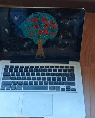 mac book pro 2010