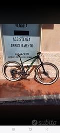 mtb front pedemonte 