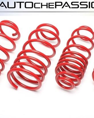 Kit molle sportive Ta Tecnix per hyundai I30 2007