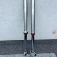 Forcella Wp con Cartucce Kayaba