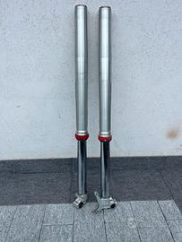 Forcella Wp con Cartucce Kayaba