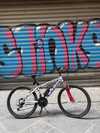 Bicicletta MTB misura 24