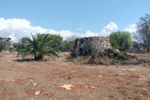 Terreno agricolo sc Occhio Chiuso - Racale