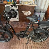 BICICLETTA ELETTRICA RAD POWER BIKES