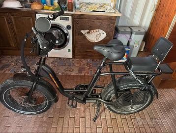 BICICLETTA ELETTRICA RAD POWER BIKES