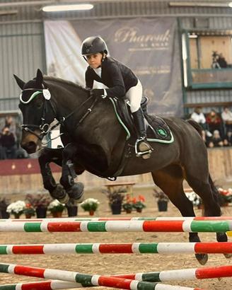 Cavallo pony