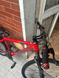MTB cannodale