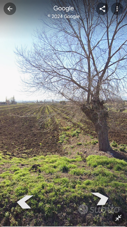 Terreno agricolo Rimini Nord