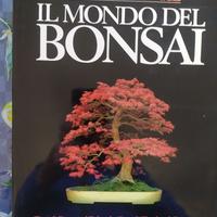 libro sui bonsai