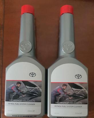 Pulizia motore benzina