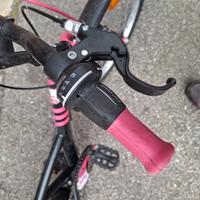 bici montain bike e bici da bambina