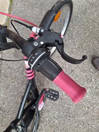 bici montain bike e bici da bambina