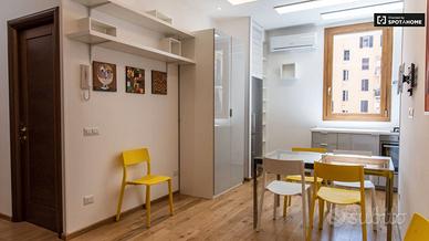 Bilocale metro A Furio Camillo